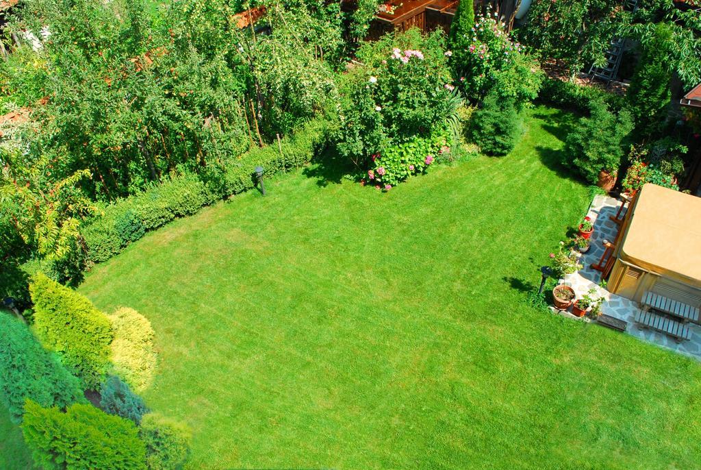Guest House Chicho Tsane Bansko Exterior photo